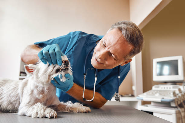 Best Emergency Tooth Extraction in Hertford, NC