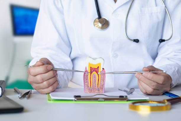 Best Weekend Emergency Dentist in Hertford, NC